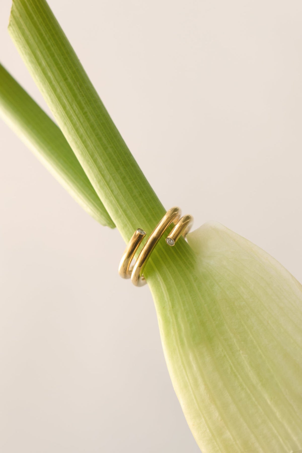 Ringe